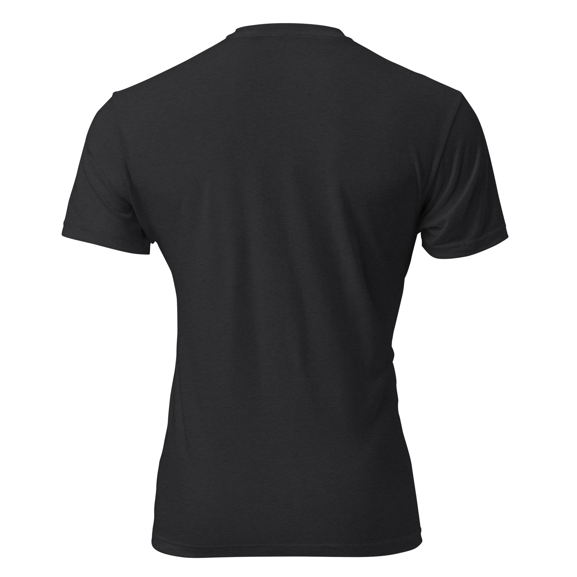 unisex-cvc-t-shirt-black-back-6a1a14484eee0.jpg