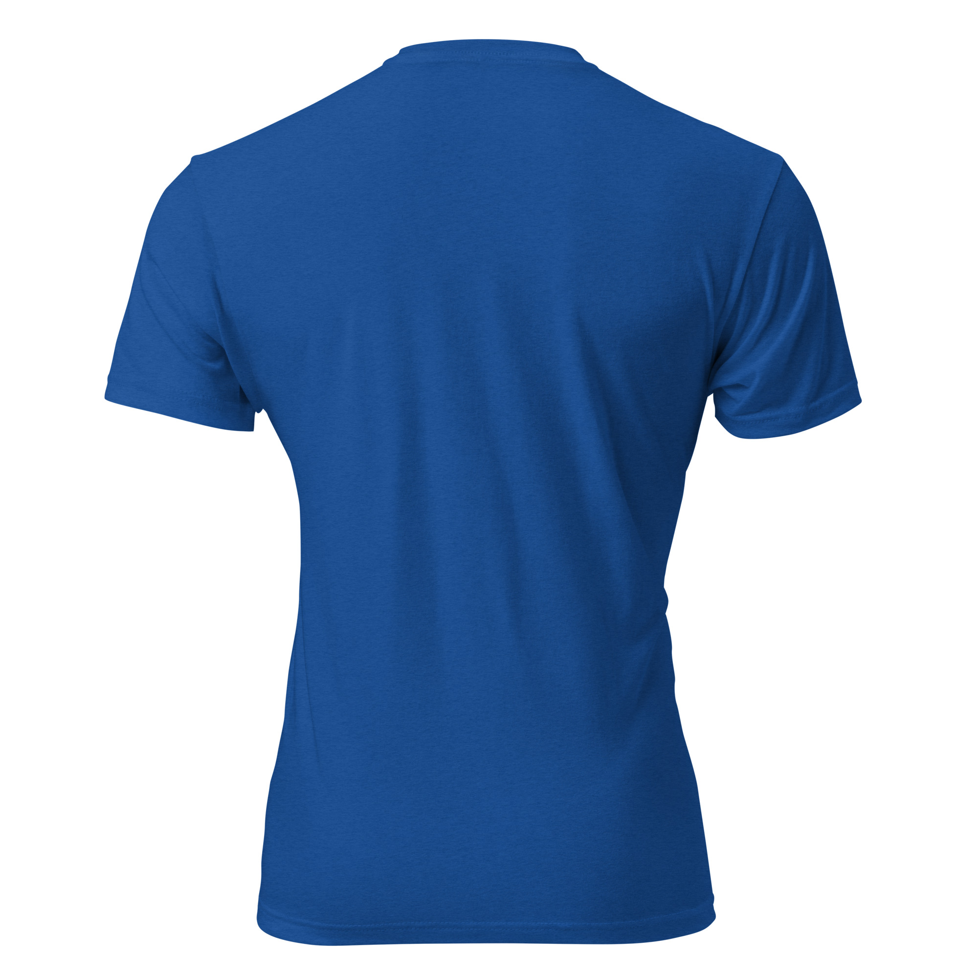 unisex-cvc-t-shirt-royal-back-6a1a144852421.jpg