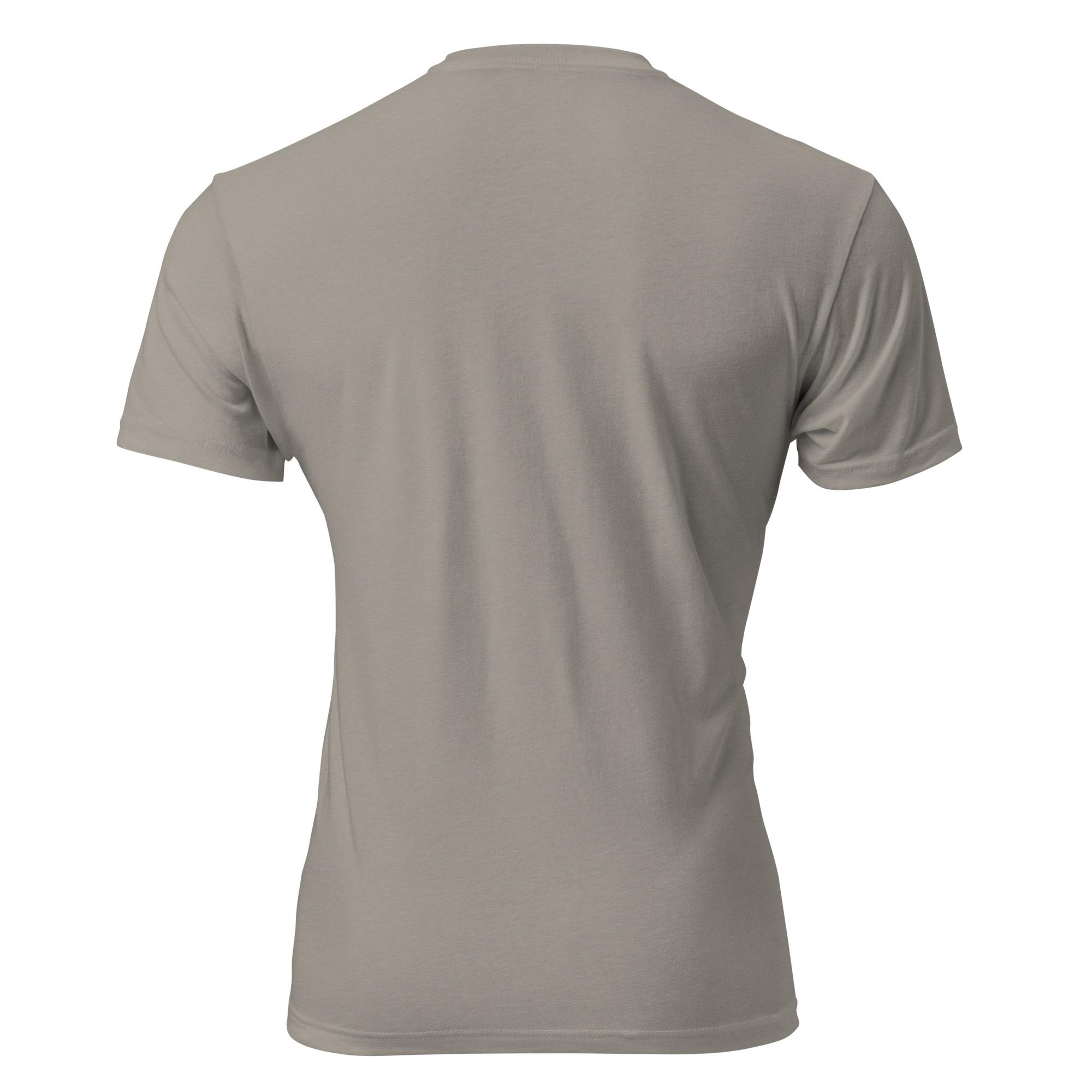 unisex-cvc-t-shirt-stone-grey-back-6a1a144861f8a.jpg