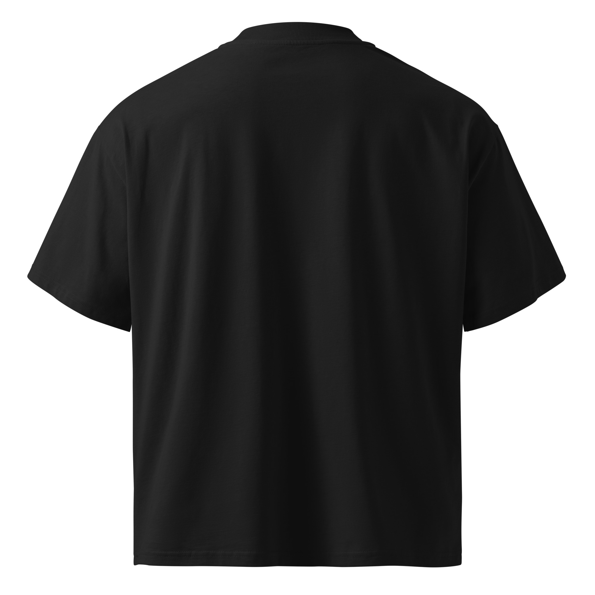 unisex-organic-oversized-high-neck-blaster-2.0-t-shirt-black-back-6a1cd608cebd5.jpg